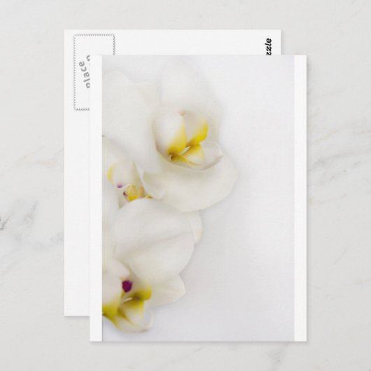 美しい ポストカード (正面/裏面)