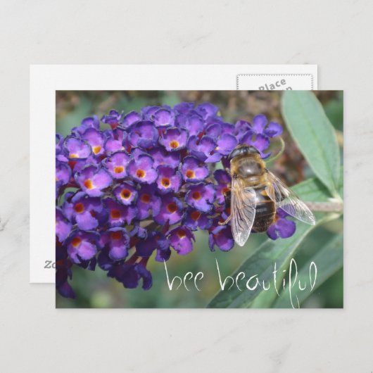 美しい ポストカード (正面/裏面)