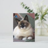 美しい ポストカード (スタンド正面)