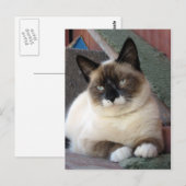 美しい ポストカード (正面/裏面)