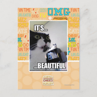 美しい ポストカード