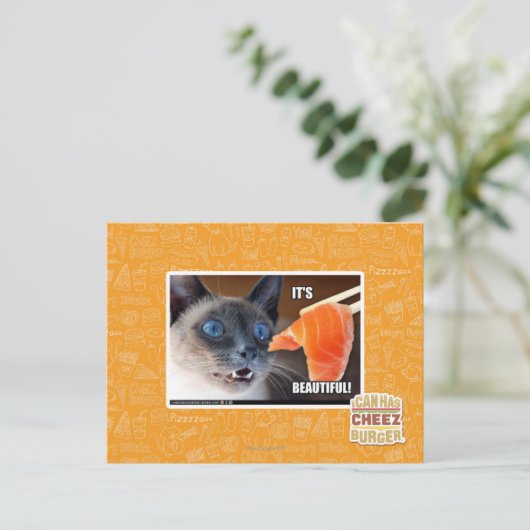 美しい！ ポストカード (スタンド正面)