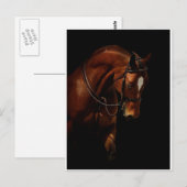 美しい ポストカード (正面/裏面)