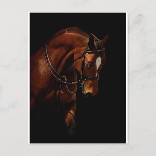 美しい ポストカード (正面)