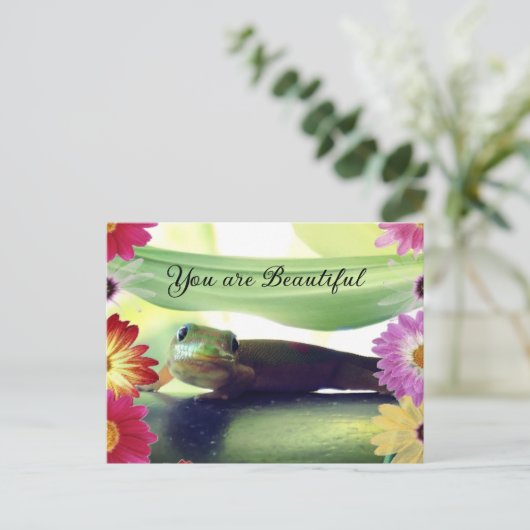 美しい ポストカード (スタンド正面)