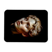 美しい マグネット (横)