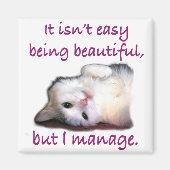 美しい マグネット (正面)