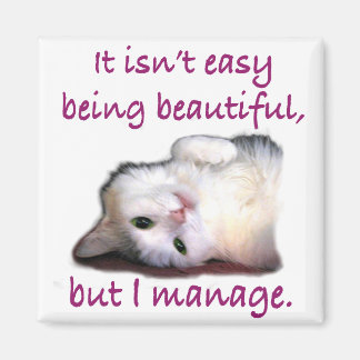 美しい マグネット