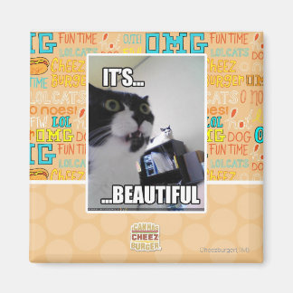 美しい マグネット