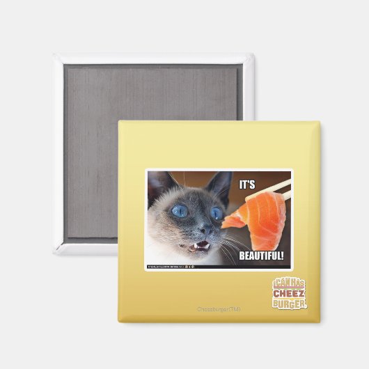 美しい！ マグネット (正面/裏面)