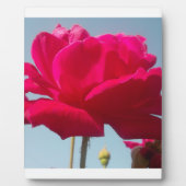 美しい 愛らしい 天上の ローズ 赤 青に映えて フォトプラーク (正面)