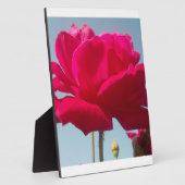 美しい 愛らしい 天上の ローズ 赤 青に映えて フォトプラーク (側面)