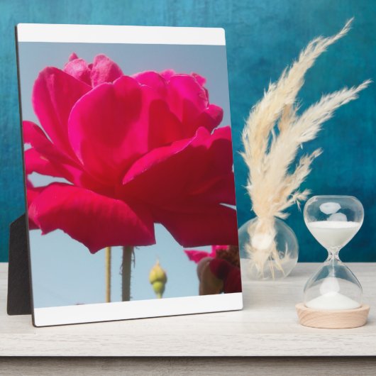 美しい 愛らしい 天上の ローズ 赤 青に映えて フォトプラーク (側面)