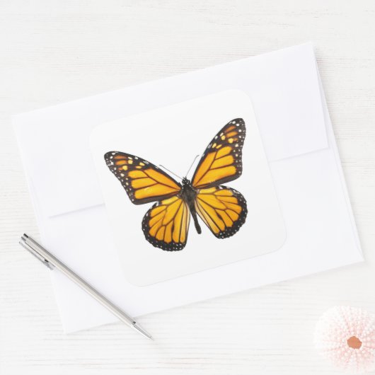 美しい(昆虫)オオカバマダラ、モナークバタフライオレンジブラック スクエアシール (封筒)