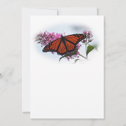 美しい（昆虫）オオカバマダラ、モナーク蝶の写真卒業 招待状 (裏面)
