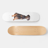 美しい(犬)ドーベルマン・ピンシェル スケートボード (横)