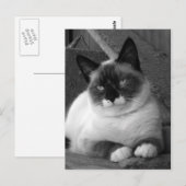 美しい（白黒） ポストカード (正面/裏面)