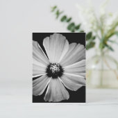 美しい（白黒） ポストカード (スタンド正面)