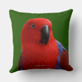 美しい"赤の女性"エクレクタスオウム鳥 クッション (裏面)