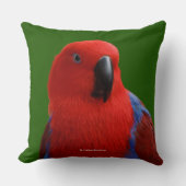 美しい"赤の女性"エクレクタスオウム鳥 クッション (正面)
