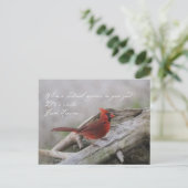 美しい(鳥)ショウジョウコウカンチョウとことわざ ポストカード (スタンド正面)