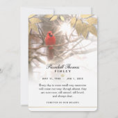 美しい（鳥）ショウジョウコウカンチョウ5 x 7悔やみや弔慰サンキューカード 招待状 (裏面)