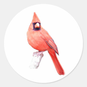美しい(鳥)ショウジョウコウカンチョウ ラウンドシール