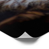 美しい《鳥》ハヤブサポートレート ポスター (角)