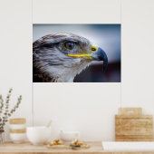 美しい《鳥》ハヤブサポートレート ポスター (キッチン)