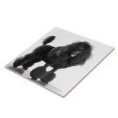 、美しい、黒整えられる、完全なプードルの体 タイル (側面)