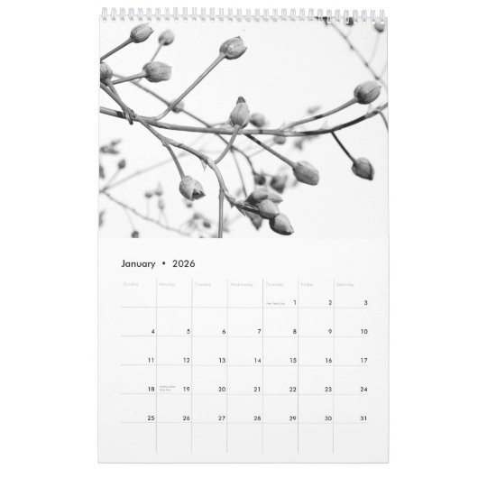 美しいB&Wの写真のカレンダー-ケリーのワイン カレンダー (1月 2026)