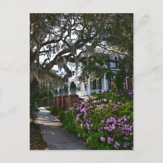 美しいBeaufort、サウスカロライナ ポストカード (正面)