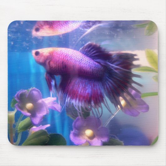 美しいBetta マウスパッド (正面)