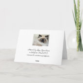美しいBirman Ragdollの猫好きのメッセージカード シーズンカード (裏面)