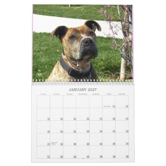 美しいBullys 2012犬のカレンダー カレンダー (1月 2027)