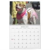 美しいBullys 2020犬のカレンダー カレンダー (3月 2027)