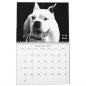美しいBullys 2021犬のカレンダー カレンダー (2月 2027)