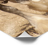 美しいClydesdale馬の耕作 – チームワーク ポスター (コーナー)