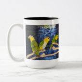 美しいConureのコーヒー・マグ ツートーンマグカップ (左)