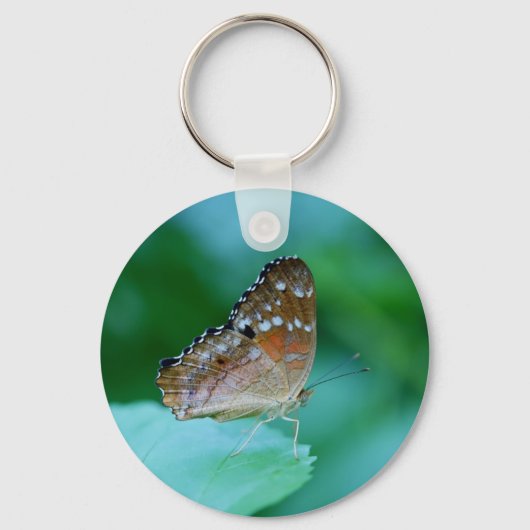 美しいDanaus Plexippus葉に蝶。 キーホルダー (正面)