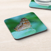 美しいDanaus Plexippus葉に蝶。 コースター (左側)