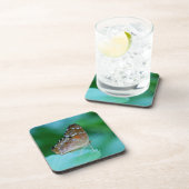 美しいDanaus Plexippus葉に蝶。 コースター (右側)