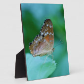 美しいDanaus Plexippus葉に蝶。 フォトプラーク (側面)