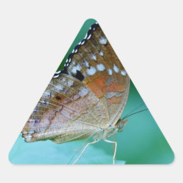 美しいDanaus Plexippus葉に蝶。 三角形シール