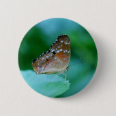 美しいDanaus Plexippus葉に蝶。 缶バッジ (正面)