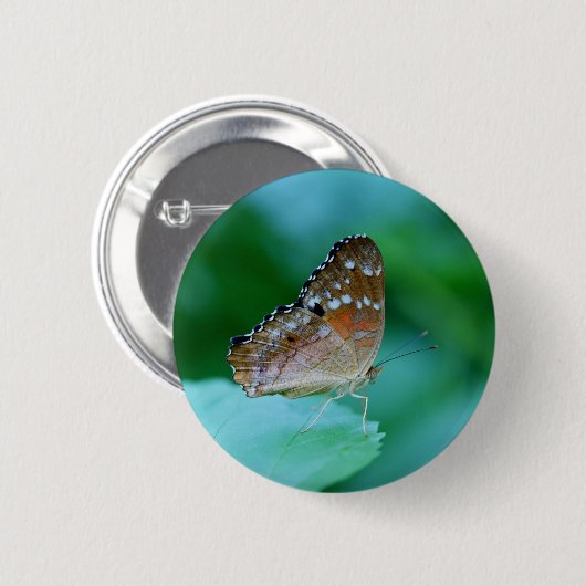 美しいDanaus Plexippus葉に蝶。 缶バッジ (正面&裏面)