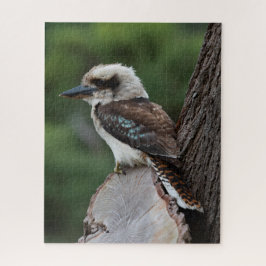 美しいKookaburra Bird Australia, 520個 ジグソーパズル