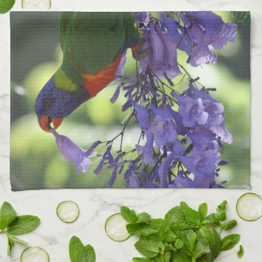 美しいLorikeet キッチンタオル (折り畳み)