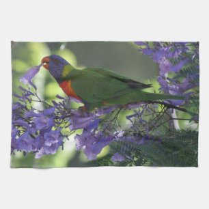 美しいLorikeet キッチンタオル