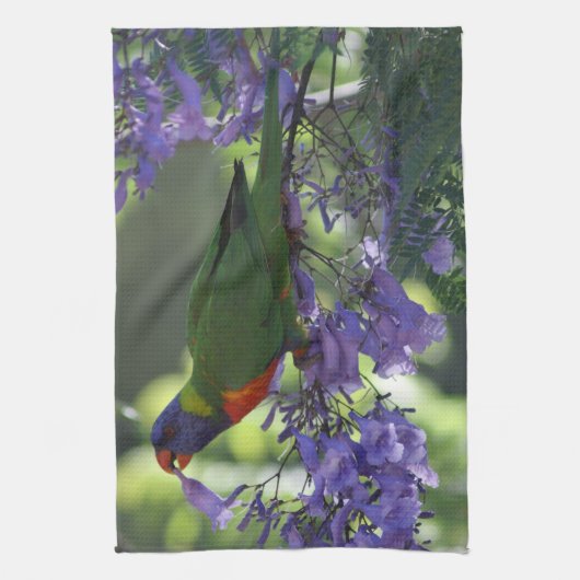 美しいLorikeet キッチンタオル (縦)